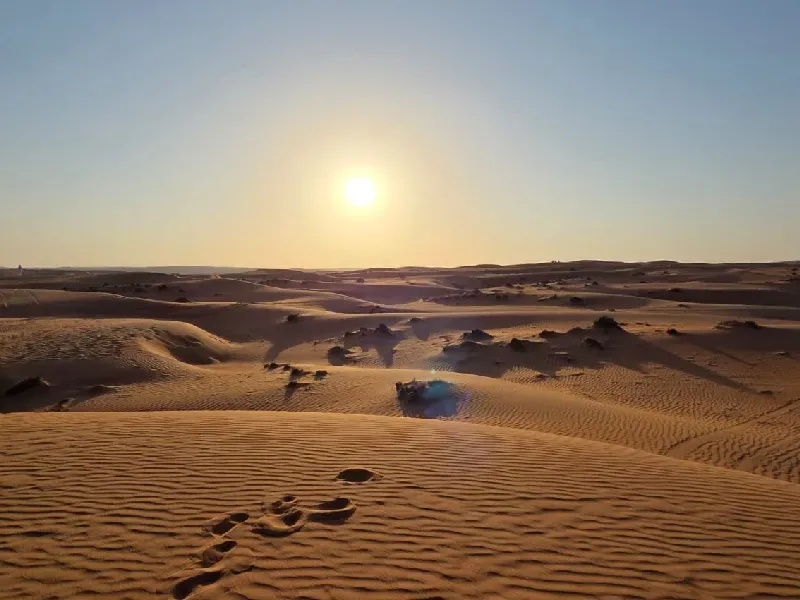 Lo Mejor Dubai y Abu Dhabi en 5 Días